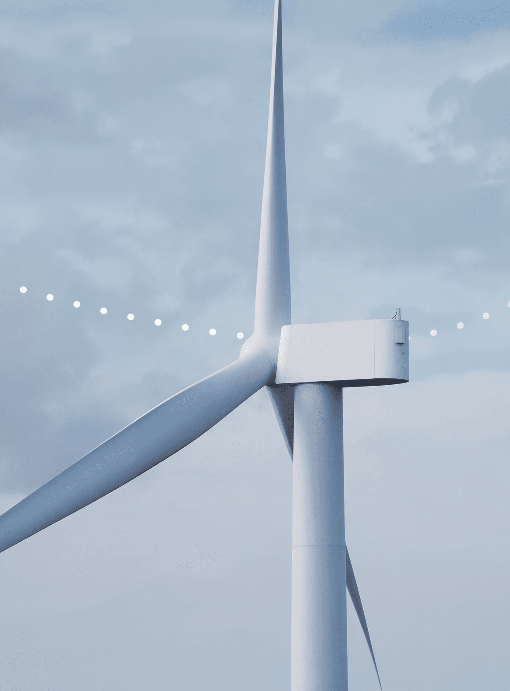 Birds around turbines